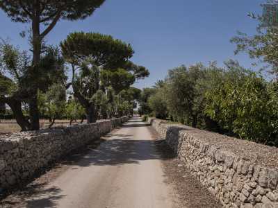 Torniamo ora sui nostri passi e c�immettiamo a sinistra su una strada rurale che da San Materno ci porta in contrada Brenca...